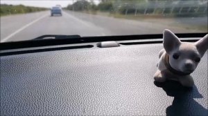 Тетя Мотя, вероятно, скоро сорвется и выгонит Гришаню