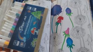 Купила акриловые маркеры и раскрасила в раскраске цветы, хобби в деревне