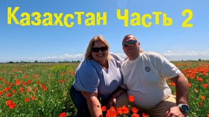 Едем по бескрайним просторам Казахстана. Алтын Эмель. Чуть не остались без ночлега.