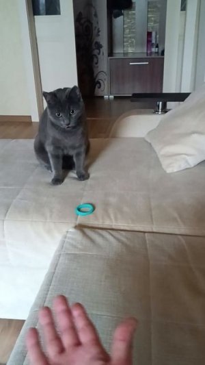 Вот так можем играть.