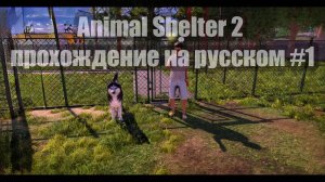 Animal Shelter 2 прохождение на русском #1