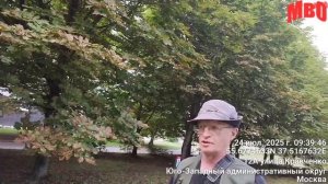 Опять триммер! Пришлось остановить и объяснить работнику, что он нарушает закон г. Москвы!