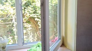 День начинается с котов и заканчивается ими же😂🐈