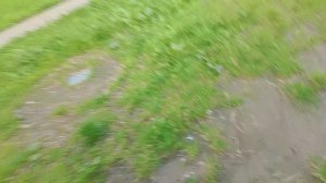 типы людей во дворе 1