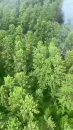 В Приамурье потерпел крушение пассажирский самолет с 49 людьми на борту