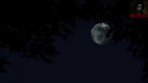 ЦОКОТ. Страшные истории на ночь 🫣🫣🫣