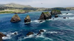 Бухта Солдатская (Маячная) ветрище День 8. Остров Шикотан Курильские острова 02.06.25