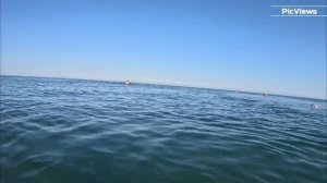 Сочи Лазаревское пляж Калипсо сегодня 24 июля 2025. Обстановка на море, погода сейчас в Лазаревском