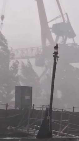В порту Волжского под Волгоградом из-за сильного ветра разрушился кран.