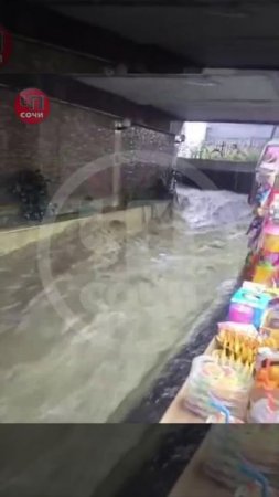 Сочи снова под водой