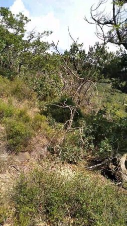 Виднеются вершины соседних гор в Большом Утрише на Чёрном море