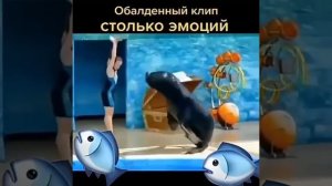 Супер танец.  #shorts