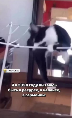 Очень сложный баланс😄