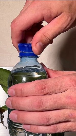 Простой и быстрый капельный полив для растений