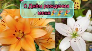 День рождения, подарочки/ моя дача