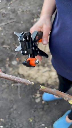 Секатор прививочный от компании Finland😎👌
