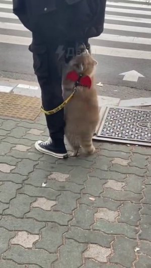 1000257438.mp4