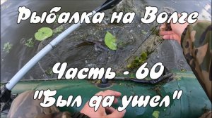 Рыбалка на Волге. Часть - 60. "Был да ушел".