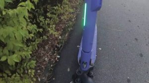 Прогулки Сочи