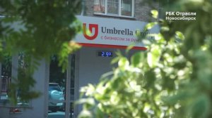 Интервью Амбрелла Групп