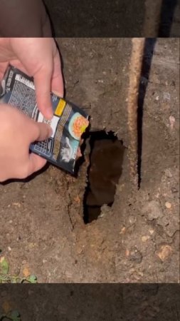 🐱Котенок застрял в дыре под бетонными плитами в Москве🐱
