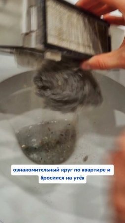 И даже он сбежал   Артикул на WB #234577722 Ozon #1664064287 #Чистящаяпаста #чистота #уборка