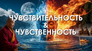 Чувствительность и чувственность