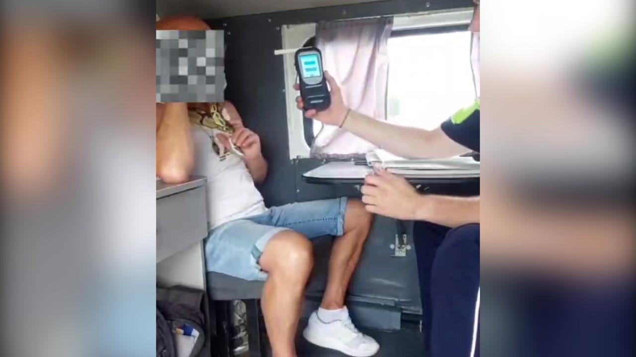 На Камчатке пьяный мужчина со змеей на шее приехал в ГАИ, чтобы подать жалобу
