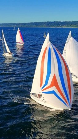 ⛵️ Парусная регата в штате Вашингтон — захватывающий танец ветра и воды!
Снято с воздуха на DJI Ava