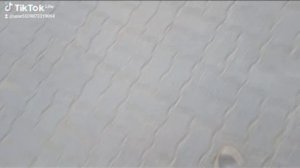 1000003670.mp4