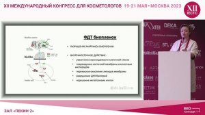 Индилова Н.И. Биоконцепт 2023