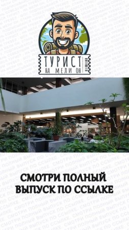 Самая большая библиотека России #shorts