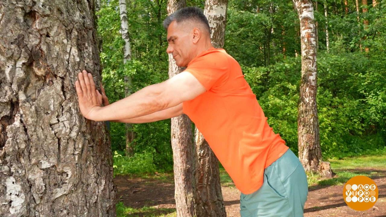 Здравствуй, дерево! Зарядку делать будем? Доброе утро. Фрагмент выпуска от 24.07.2025