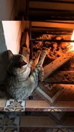 А этот усатый знает толк в отдыхе
