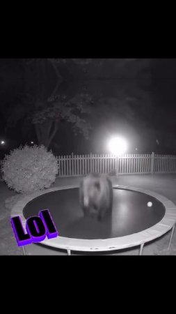 1000066130.mp4
