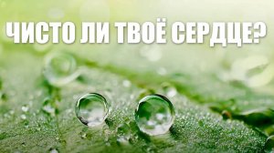 Чисто ли твоё сердце?