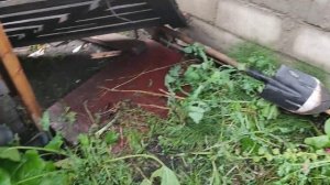 После сегодняшнего урагана (23.07.2025)