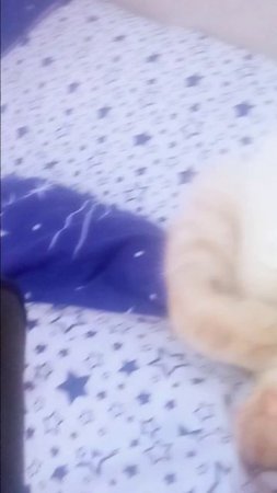делаю обзор в замедление на моего кота