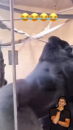 1000065496.mp4