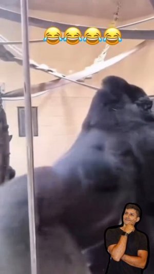 1000065496.mp4