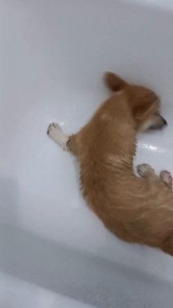 Водные процедуры.