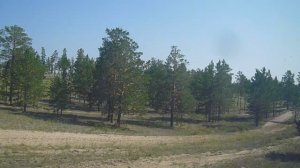 Семипалатинский бор (Казахстан) - из окна поезда.