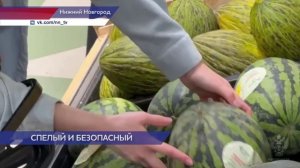 Роспотребнадзор провёл проверку арбузов на наличие нитратов
