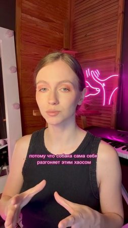 Гулять только на 5 метрах? #кинолог #собака #суперсобака #животные