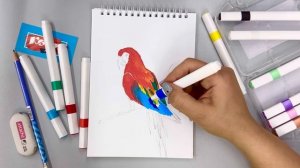 Мастер-класс «Комус Арт». Попугай. Маркеры.