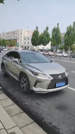 Lexus RX 2021 (2)