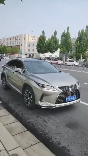 Lexus RX 2021 (2)
