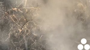 🔴Подборка сбросов на свинохряков.🐖🔴