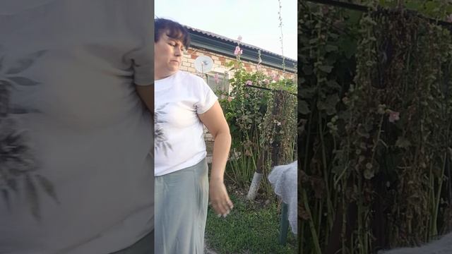 1000181295.mp4 Скидочки на некоторые пуховые платочки т.89020931602 смотреть онлайн