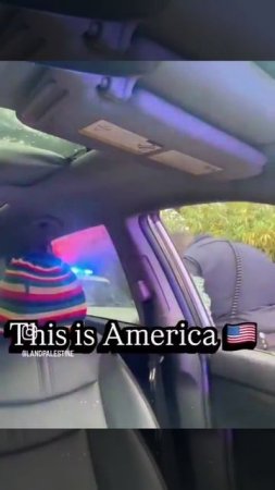 Мастер класс американских автоинспекторов по общению с гражданами США !!!